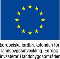 Fiberföreningsläget i VG län Fiberföreningars utveckling Västra Götaland 2007-2013 Projektbudget Msek Berörda hushåll Antal föreningar 2007-2011 Länsstyrelsen 66,7 2 700 17 2012 Länsstyrelsen 139,2 6