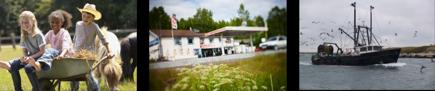 Landsbygdsnätverket 2014-2020 Erfarenheter utbyts. Information sprids. Kontakter knyts. Samarbeten uppstår. Lärande exempel analyseras och sprids. Metoder utvecklas och sprids.