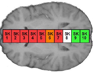 Neurokognitiv