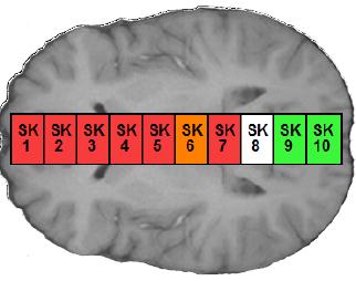 Neurokognitiv