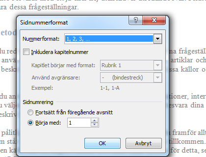 Nu är det dags för själva sidnumreringen. Klicka på Infoga i menyn. Välj sedan Sidnummer och välj därefter var på sidan du vill ha sidnumreringen.