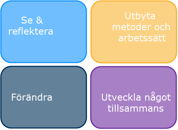 Att använda Programmet för livslångt lärande som byggstenar i