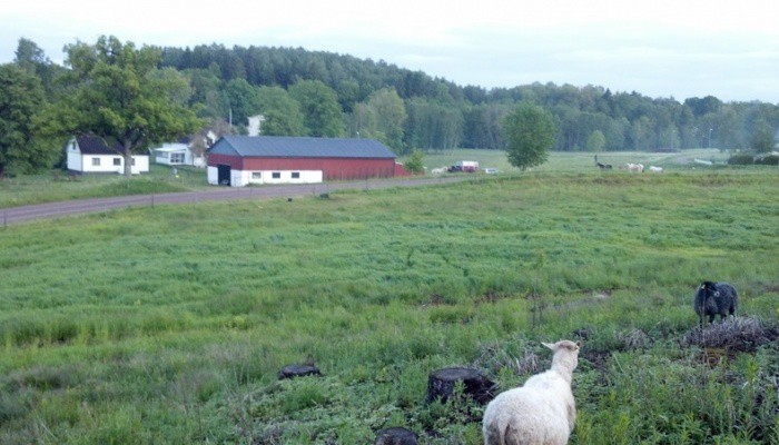 Län Västra Gatuadress Götaland Kommun Falköping Storlek 8.