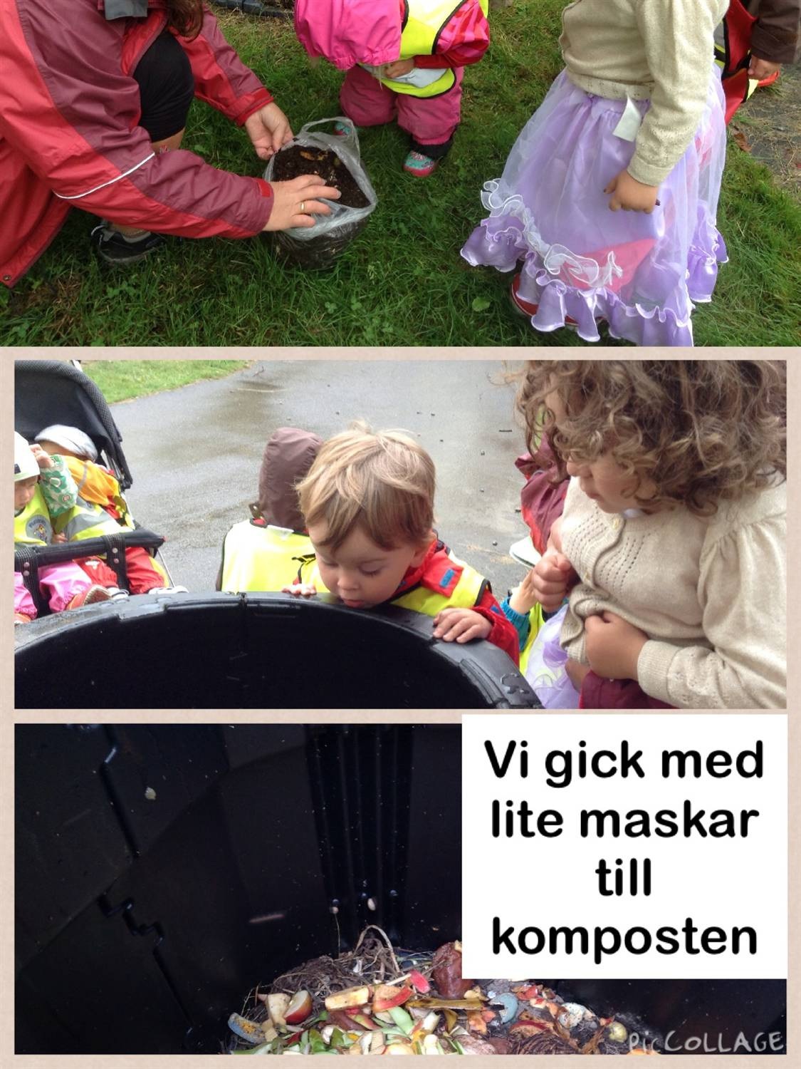 b. Infoga 1-4 blder som llustrerar vad n har gjort.
