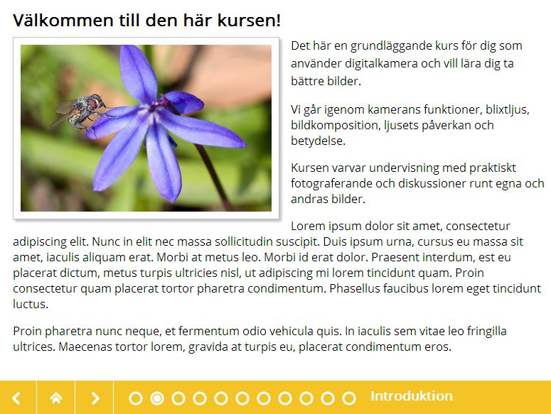 6.4. Text och bild Mallkategori: Presentation Med den här mallen kan man kombinera text med en bild.