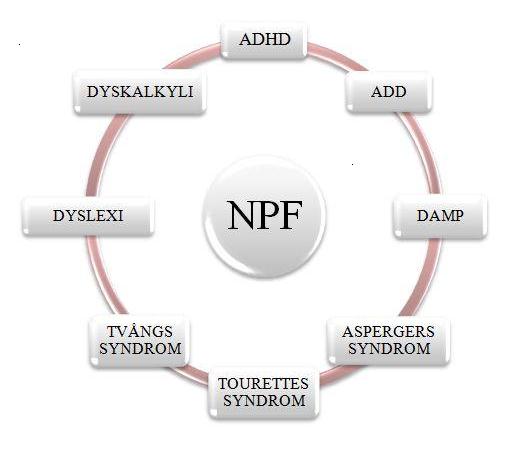 Vad är NPF?