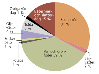 Svenska