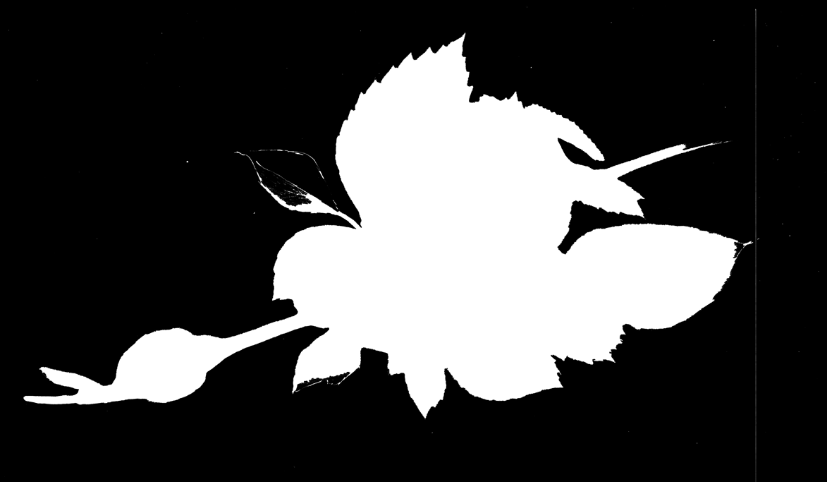 EXEMPEL