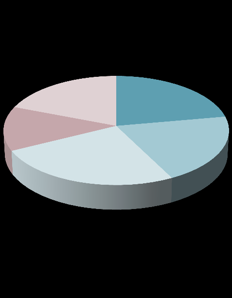 Segmentering Fördelning Våg 1 Fördelning Våg 4 Familjefäder 19% 22% 22% 14% Matintresserade 13%