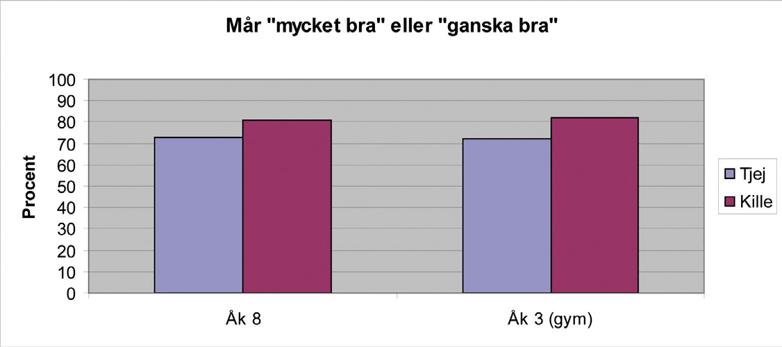 Diagram 6 Allmänt hälsotillstånd - Luppen visar att ungdomars allmänna hälsotillstånd är relativt bra. - Samtidigt är det uppenbart att flera av ungdomarna upplever återkommande besvär som t.ex.