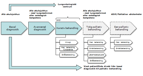 Lungcancer För patienter med lungcancer finns ett uttalat och stort behov av en förbättrad och samlad patientprocess, inte minst kring diagnostik och behandlingsplanering som till viss del får
