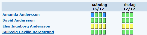 Om man vill skriva ut denna grafiska presentation klickar man på Förhandsgranska utskrift. Det ger följande fönster: Färgerna är ersatta med symboler för att alla skrivare ska klara av detta.