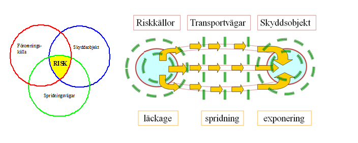 Figur 1: Illustration riskbedömning Utifrån ovanstående är det således viktigt att utreda vilka föroreningar som förekommer, i vilken omfattning de förekommer samt i vilken form de förekommer.