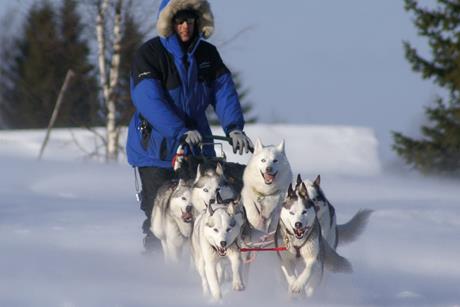 TEM 2013 Ekonomiska och