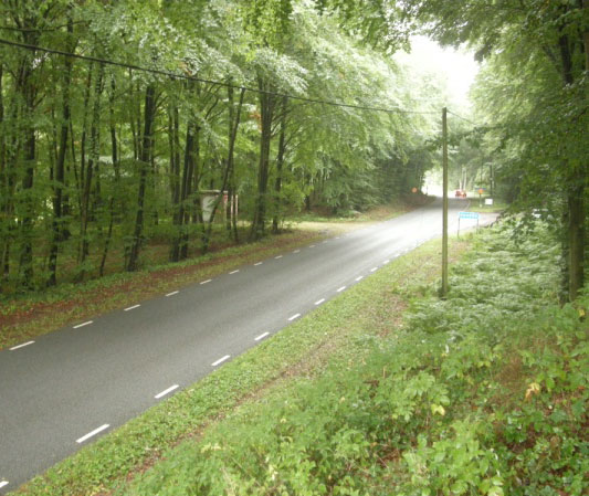 02 (Karlins väg), då vägdagvatten från dessa avvattnas till omgivande mark, se figur 6. Båda vägarna är smala länsvägar med Trafikverket som väghållare.