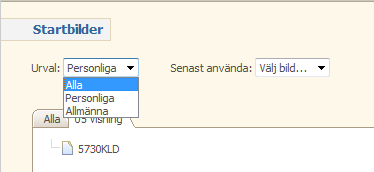 Personliga bilder Spara egna bilder med eget urval Visningsbilder kan sparas med eget utseende gällande kolumner och urval. Du kan spara som egen bild, med hjälp av knappen Spara egen bild.