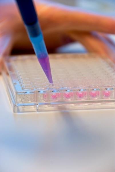 .. Can be used in combination with chemical analysis (mass balance analysis) how much of the effect can be explained by the