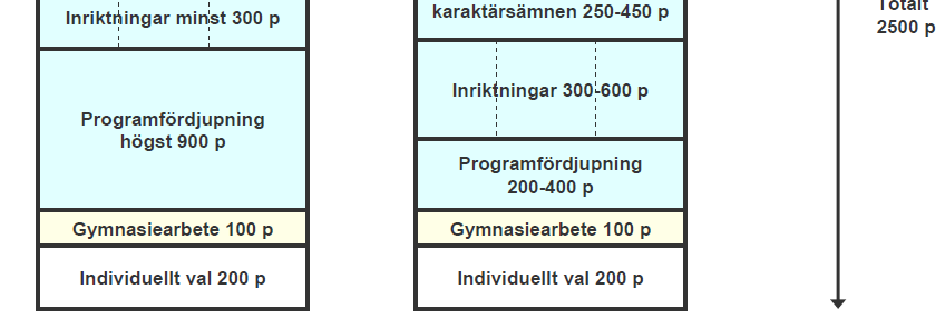 Programmens uppbyggnad Kärnämnen Gemensamma ämnen Inriktning Valbart