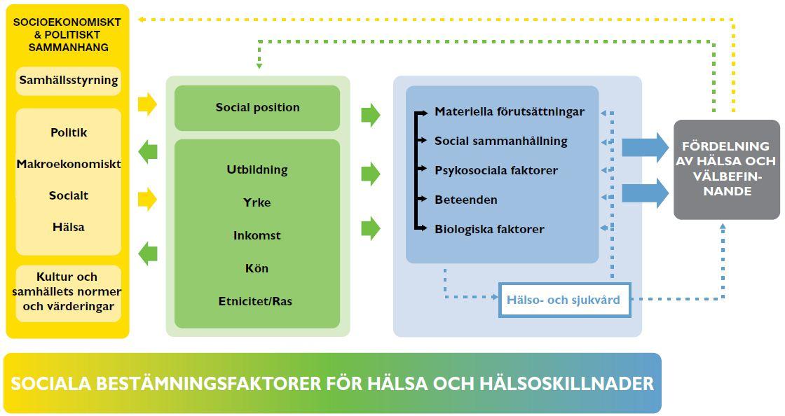 arbetet med social hållbarhet. Hälsofrämjande insatser har positiv inverkan på samhällsekonomi, miljö, klimat, trygghet och den sociala sammanhållningen.