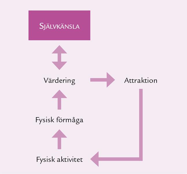 Sambandet mellan fysisk aktivitet och självkänsla