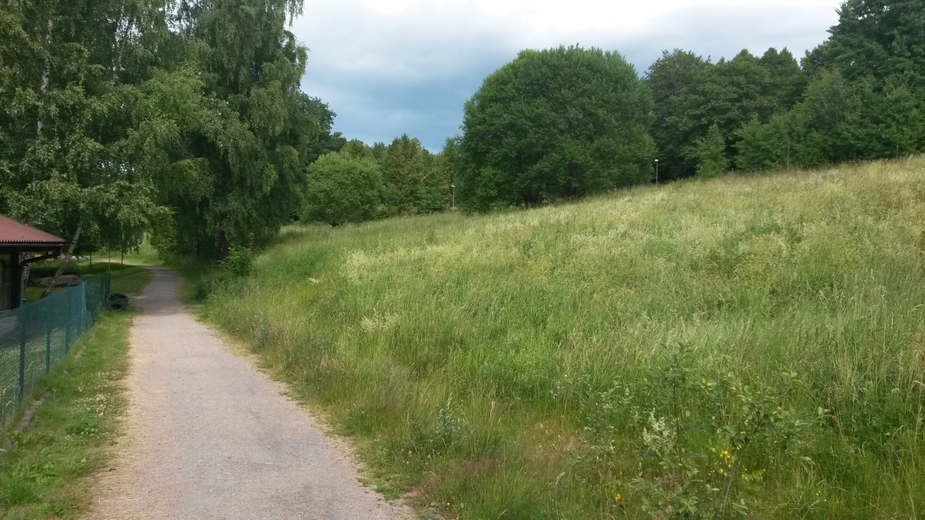 BOHUSGEO AB Herrgårdsbacken Floda, Lerum Detaljplan för planerade flerbostadshus Projekterings-PM/Geoteknik Uppdragsansvarig: Tobias Thorén Granskning: Henrik