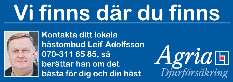 Dagen till ära har Mat & Muffins grillmästare Verner & Verner tänt utegrillen Grillad tjockkorv & hamburgare med tillbehör och kall dricka utanför inskrivningen. På stallfiket serveras idag bl.a. Hemlagad pannbiff med lök & stekt potatis, 70:- (inkl.