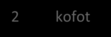 20 43 69 FRÅGA 11: TECKNAT VUEN Vad heter