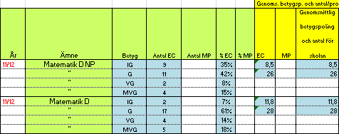 I kursen Matematik B erhölls betygsmedelvärdet 2,1 på NP och kursbetygets medelvärde blev 6,6.