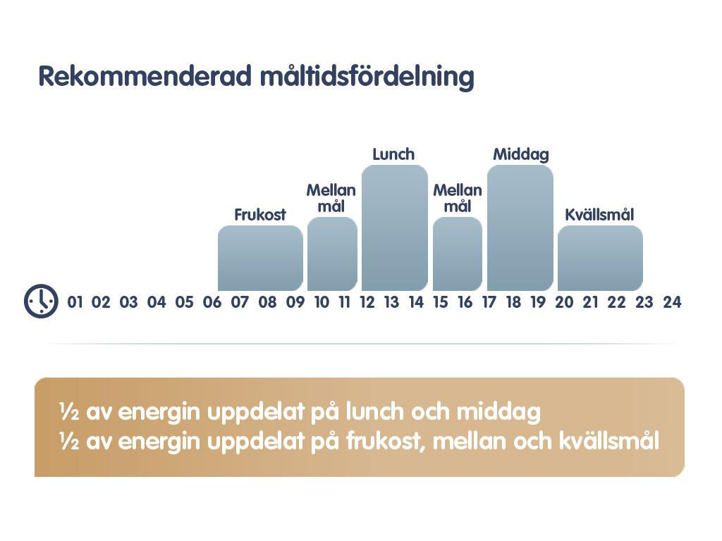 Måltidsordning och energifördelning