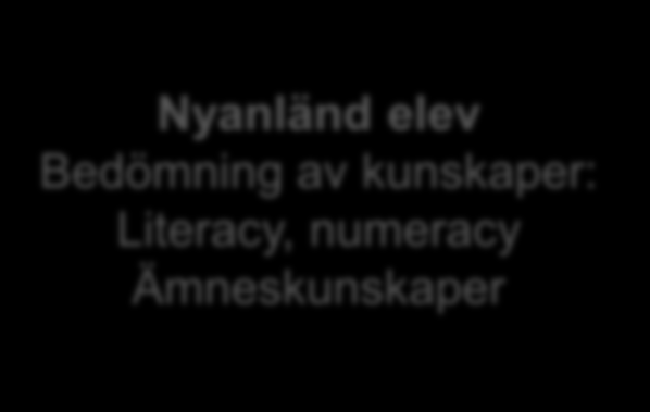 Helhet för eleven Elevhälsa Svenska som andraspråk Inkluderande förhållningssätt Studiehandledning på modersmålet Ämnessvenska Språk- och kunskapsutveckling Nyanländ elev Bedömning av kunskaper: