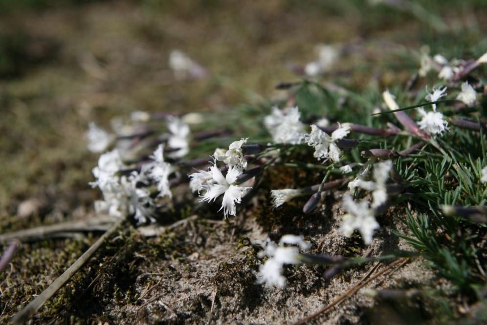 Simrishamns kommun, Skåne Län