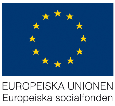 VERKSAMHETSBERÄTTELSE FÖR PROJEKTEN DIRECTA OCH DIVERSA Slutversion, januari 2013 Skriven av Vanja Bardh Olsson, projektledare för