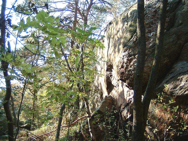 punkten är Västerberget, som mäter 118 meter över havet. Valåsberget stupar brant mot Fässbergsdalen. I området finns ett nät av stigar, som gör det lätt att genomkorsa Änggårdsbergen.