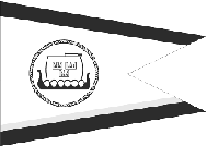 A.4 SSF: s STANDERT A.4.1 A.4.2 Form och utseende SSF:s standert är tvåtungad vit med en blå kant upptill och en nertill och med SSF:s logotyp i blått och guldgult mitt på det vita fältet (figur 1).