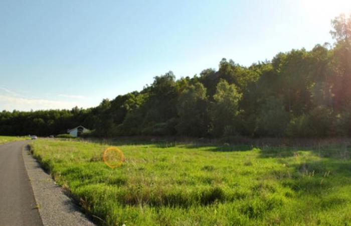 Telnebacka 12 Län Halland Typ Tomt Kommun Varberg Storlek 0 m2 Område