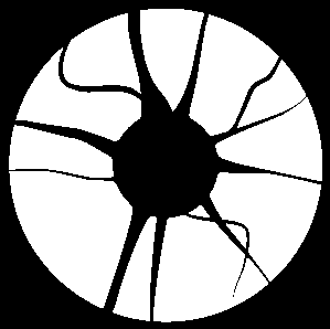 VERKSAMHET 2014 Verksamhetsberättelse, NEURO Förbundet - Finspång Ekonomisk redovisning 2014 Förslag