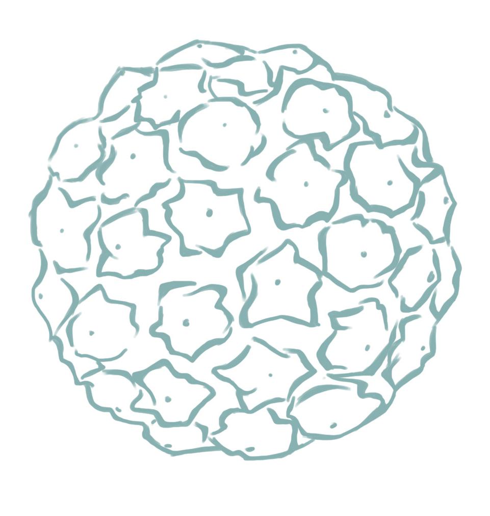 Cervical dysplasia and cervical cancer in