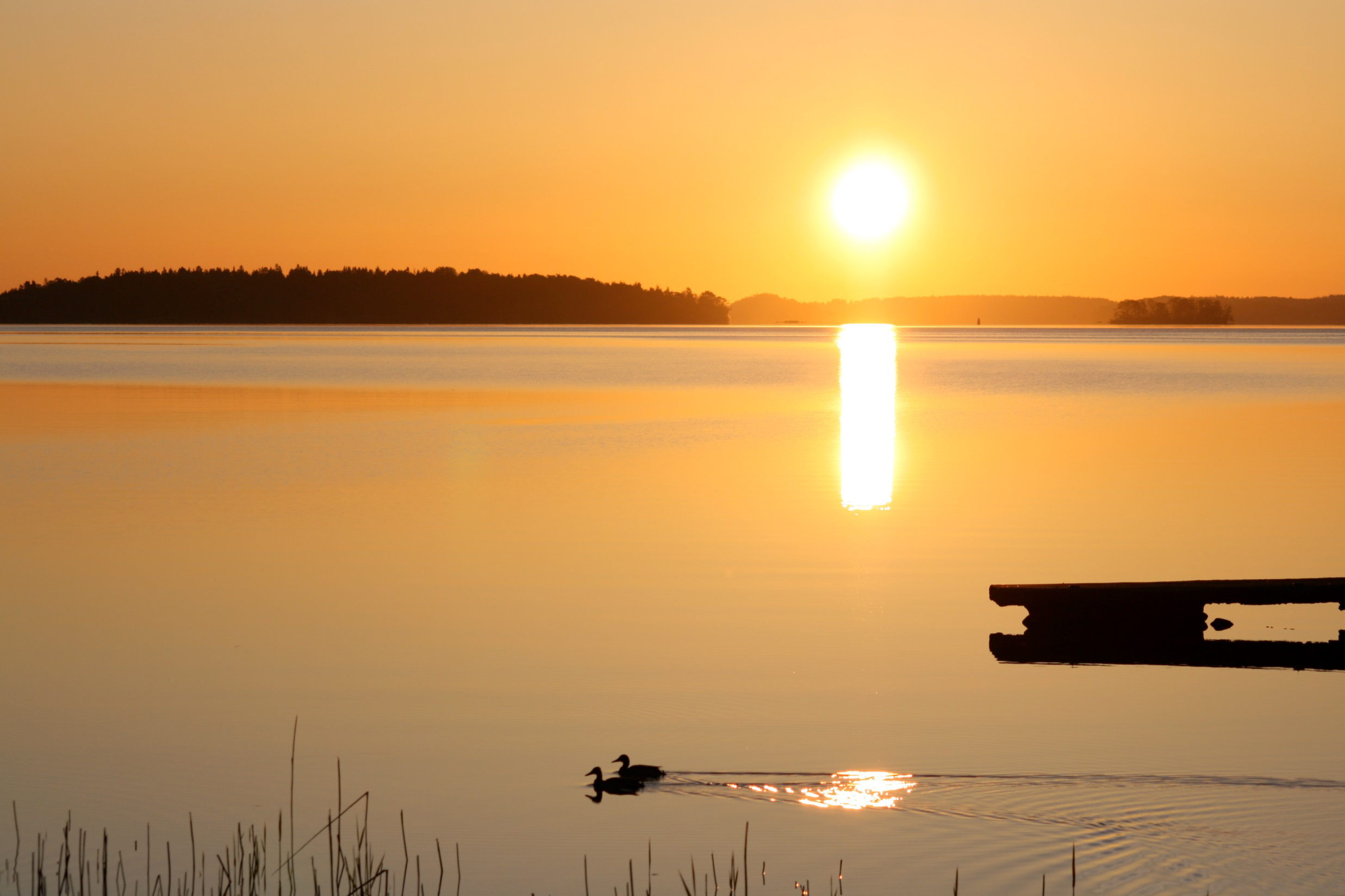 Höje å - Sverigeledande vattensamarbete mellan fyra kommuner.