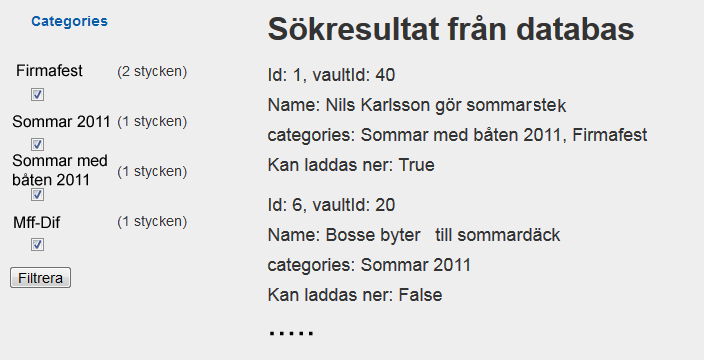Nils vill se sommarbilder han lagt till i imagevault. En sökning på "sommar" ger Nils följande resultat: Resultatet erbjuder nu Nils möjlighet att förfina sin sökning.