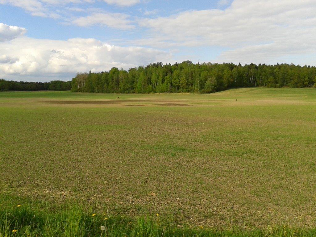 Syrebrist leder till skador på grödorna men påverkar även markens ph, mikroorganismer,