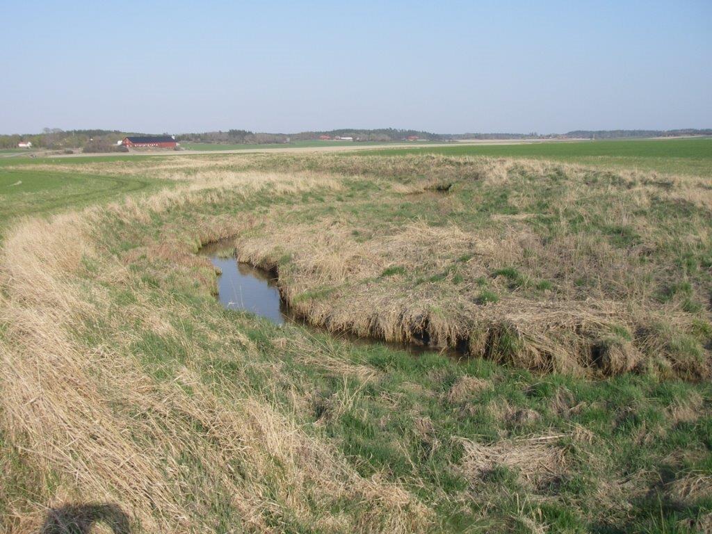 Tvåstegsdiken efterliknar naturliga