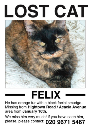 En bortsprungen katt Uppdraget Katten Felix har försvunnit.