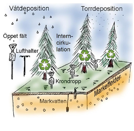 Flyktiga organiska ämnen VOC Flyktiga organiska ämnen eller VOC (volatile organic compounds) är en samlande benämning för ett stort antal gasformiga kolväteföreningar.