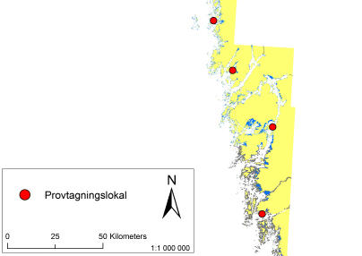 Bakgrund På uppdrag av Bohuskustens Vattenvårdsförbund har Marine Monitoring AB utfört en studie på blåmussla, Mytilus edulis (Faktaruta 1).