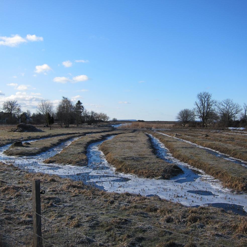 1 (62) Kunskapsöversikt Gotlands västra/nordöstra kustområde