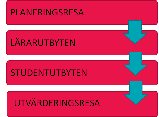 Linnaeus-Palme aktiviteter inom programmet Obs!