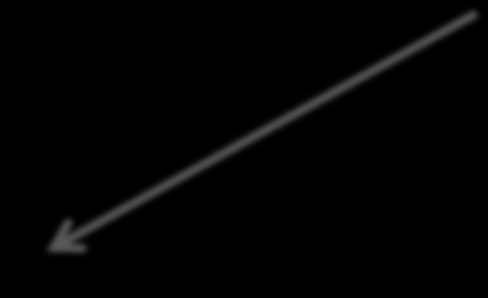 Lipid mediators - Leukotrienes (LTB 4, LTC 4, LTE 4 ) -