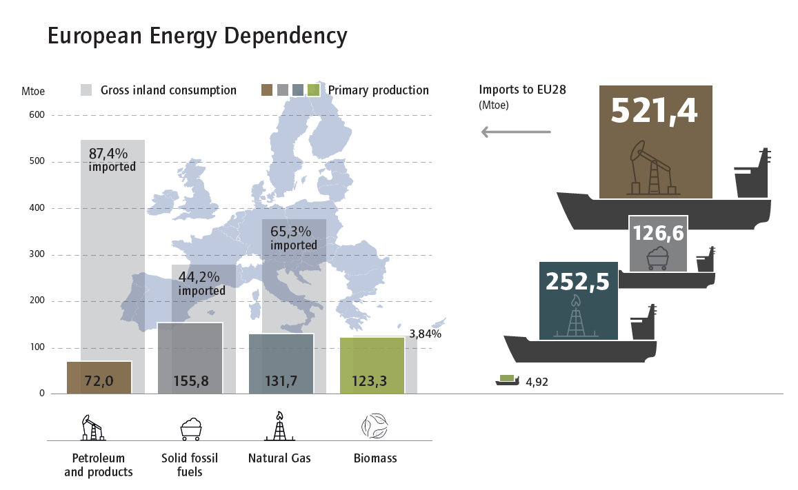 Source: AEBIOM statistical