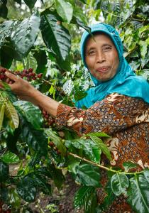 Genom Fairtrade-premien har hon fått tillgång till en klippmaskin och mer pengar vilket har underlättat odlandet och vardagslivet.