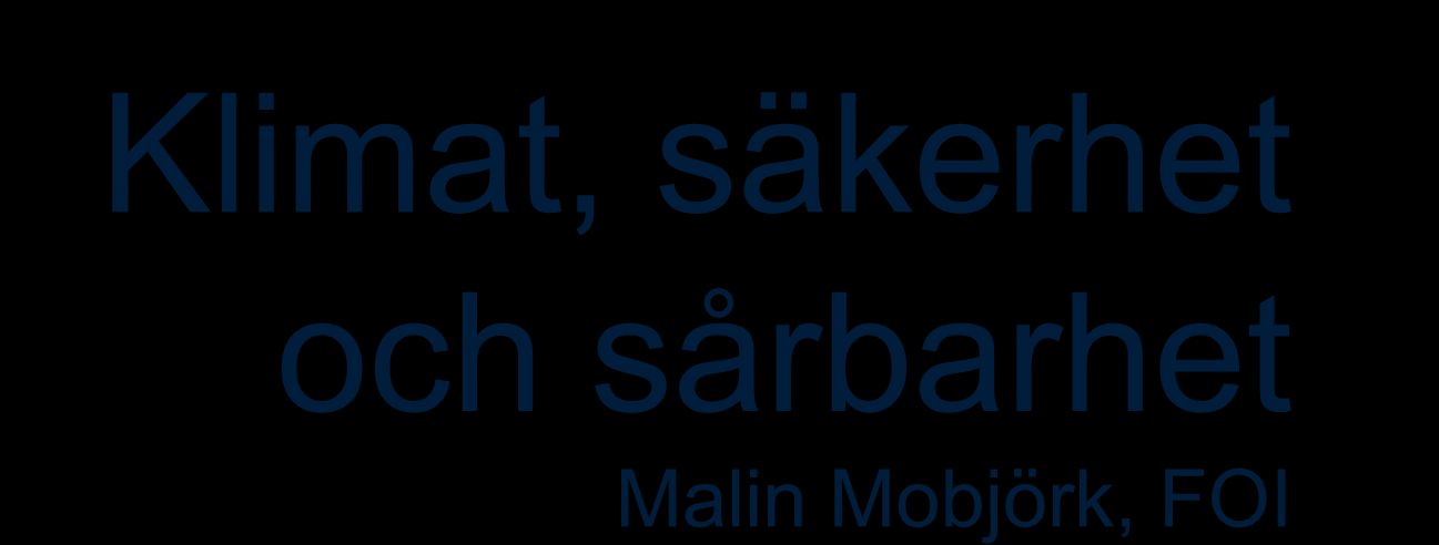 sårbarhet